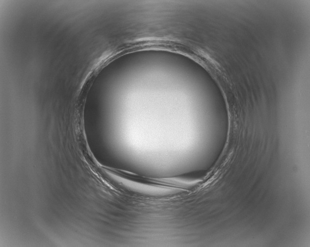 X0000052981357200508051030