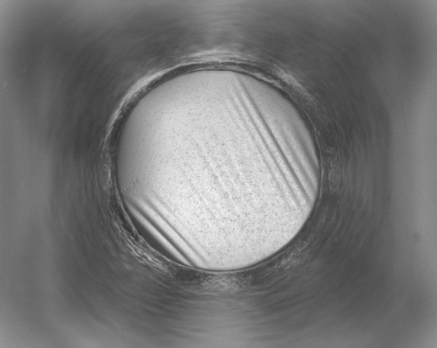 X0000052981358200508051030