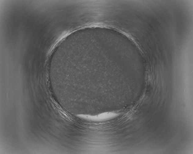 X0000052981359200508051030