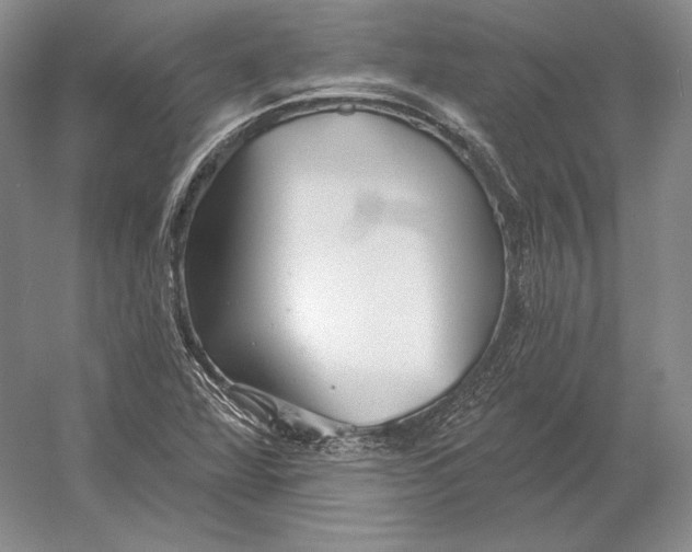 X0000052981360200508051030