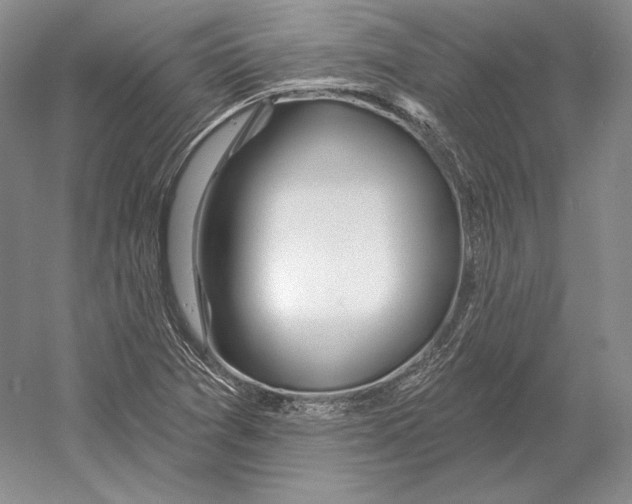 X0000052981361200508051030