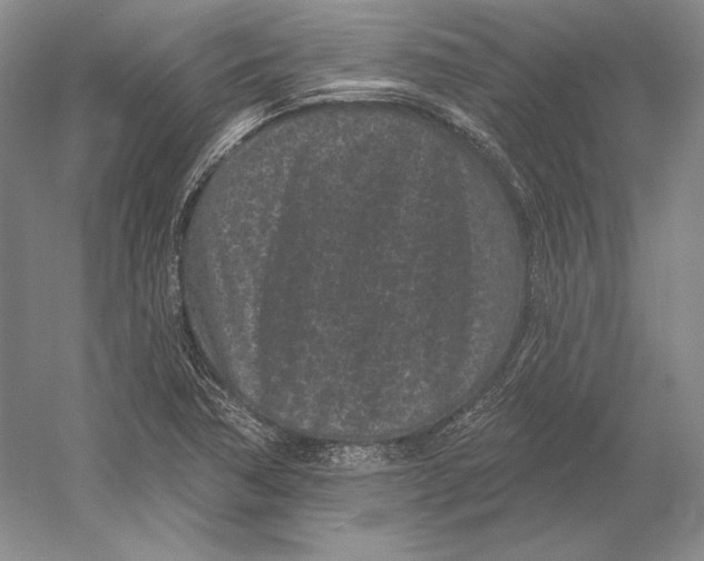 X0000052981362200508051030