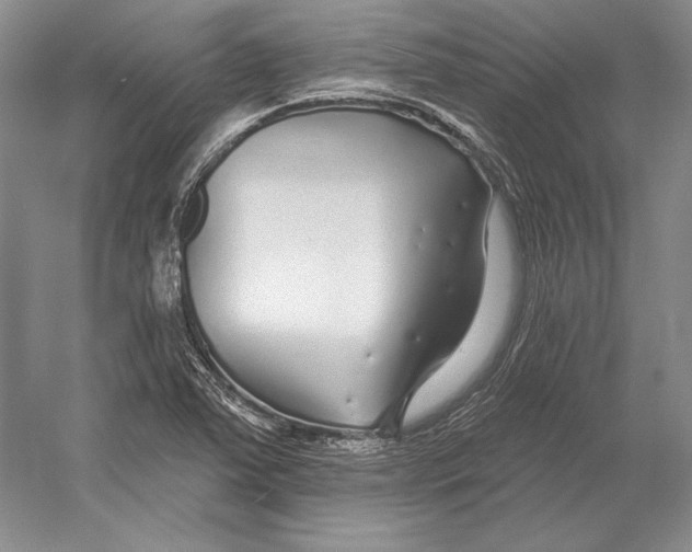 X0000052981363200508051030