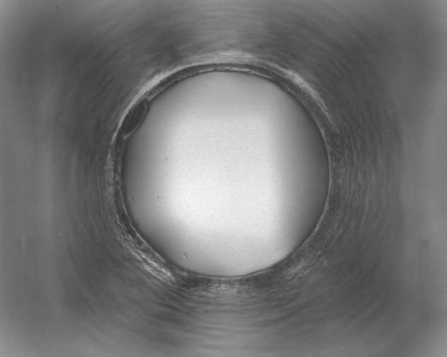 X0000052981364200508051030