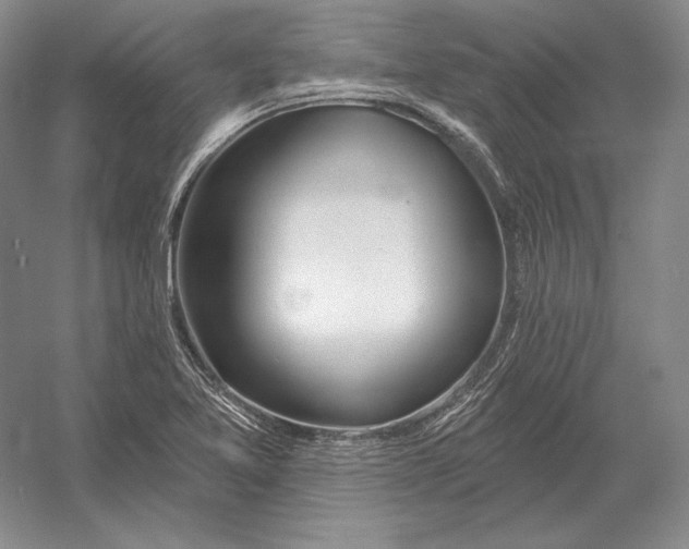 X0000052981365200508051030