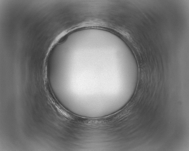 X0000052981366200508051030