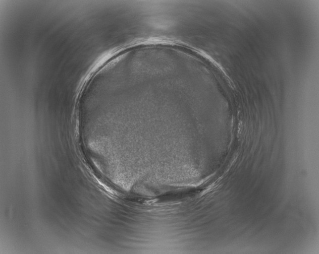 X0000052981367200508051030