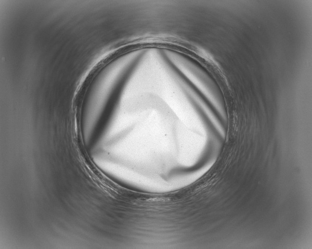 X0000052981368200508051030