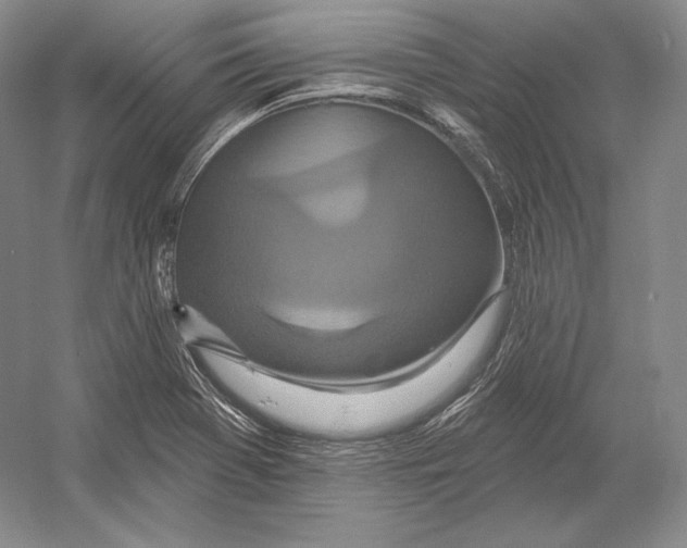 X0000052981369200508051030