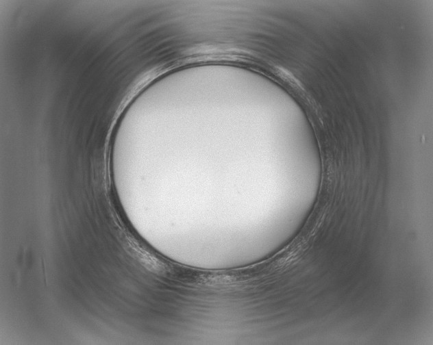 X0000052981370200508051030