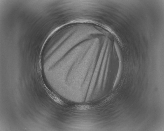 X0000052981372200508051030