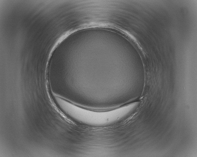 X0000052981373200508051030