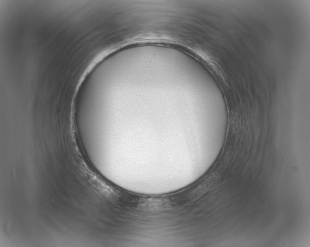 X0000052981374200508051030