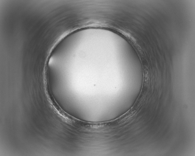 X0000052981375200508051030