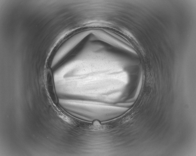 X0000052981376200508051030