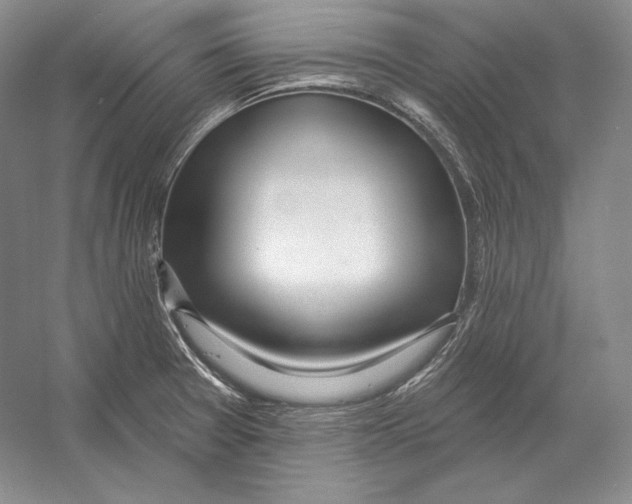 X0000052981377200508051030