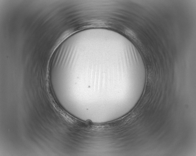 X0000052981378200508051029