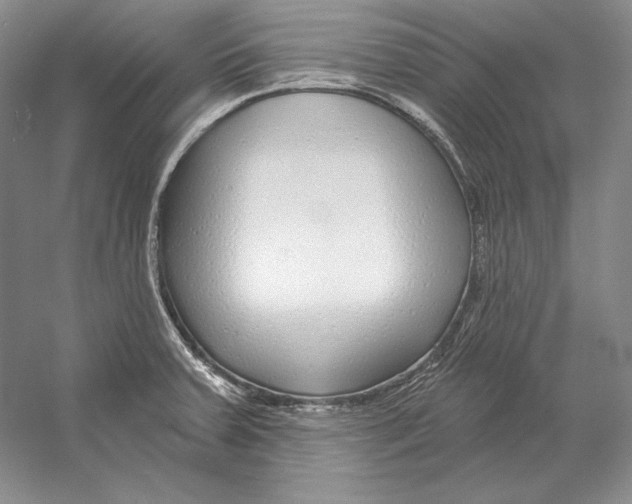 X0000052981379200508051029