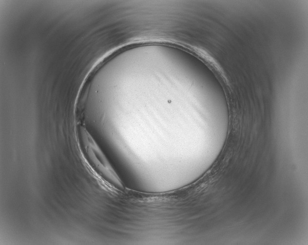 X0000052981380200508051029