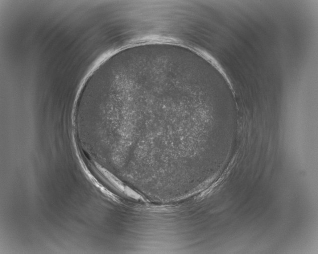 X0000052981381200508051029