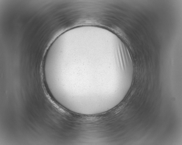 X0000052981382200508051029