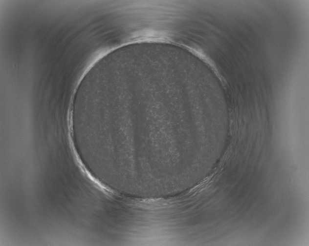 X0000052981383200508051029