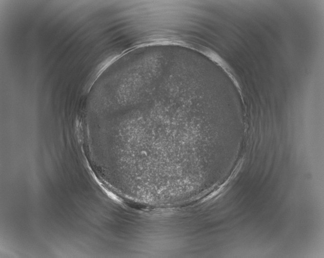 X0000052981385200508051029