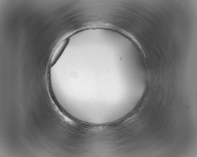 X0000052981387200508051029