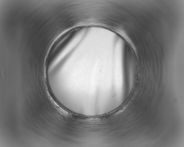 X0000052981388200508051029