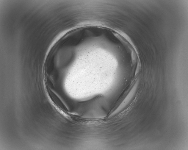 X0000052981389200508051029