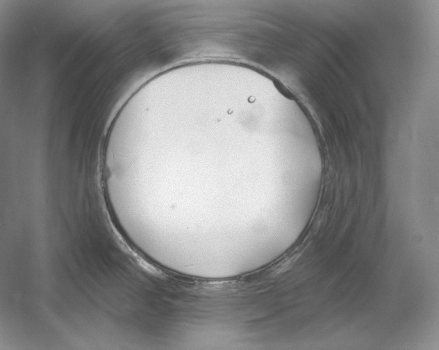 X0000052981390200508051029