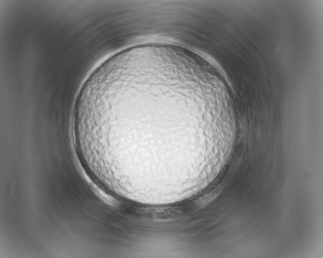 X0000052981391200508051029