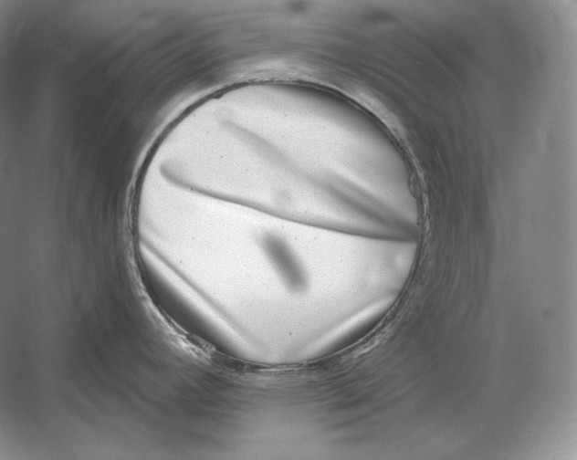 X0000052981392200508051029