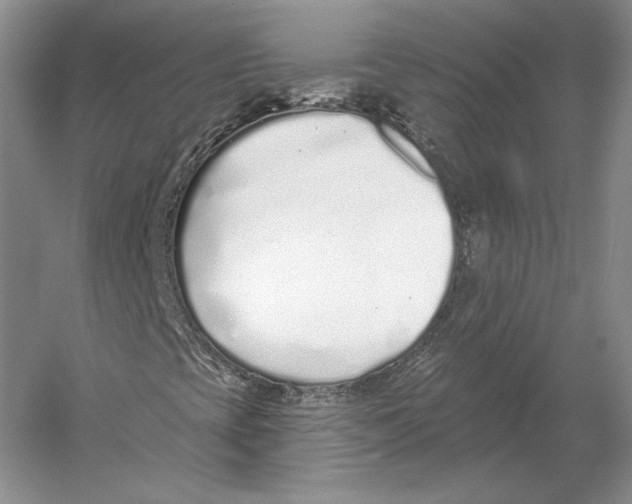 X0000052981393200508051028