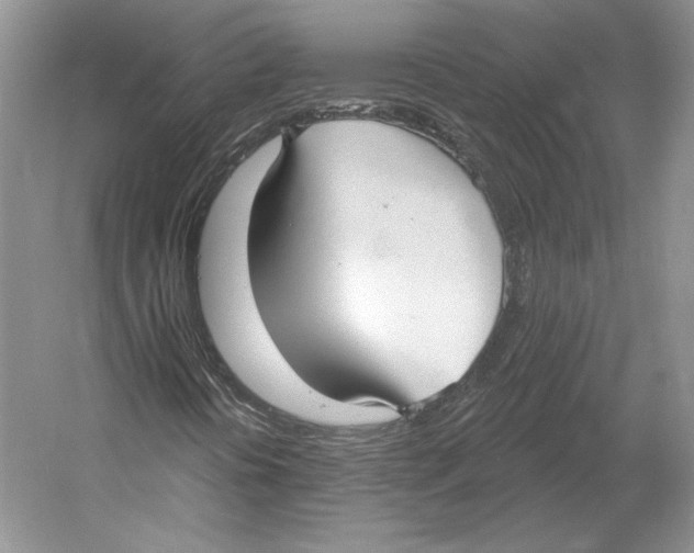 X0000052981394200508051028