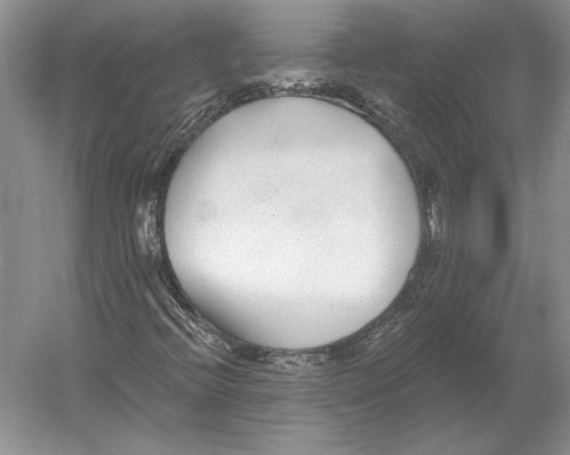 X0000052981396200508051028