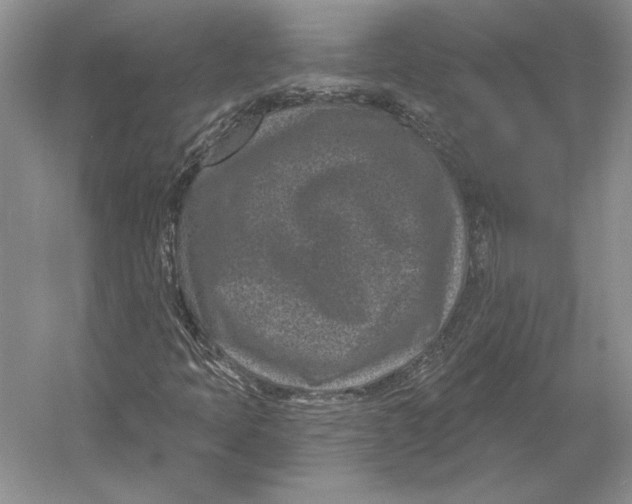 X0000052981397200508051029