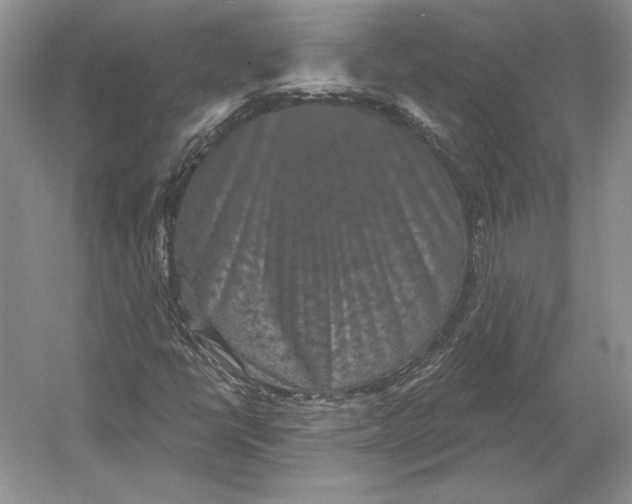 X0000052981398200508051029