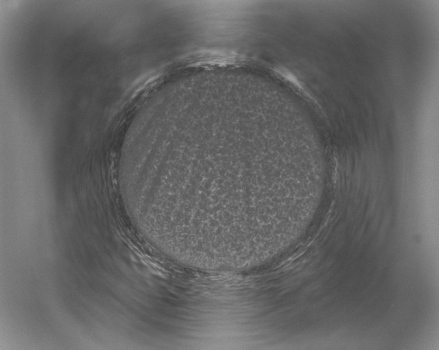 X0000052981399200508051029