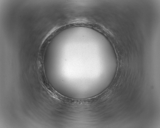 X0000052981400200508051029