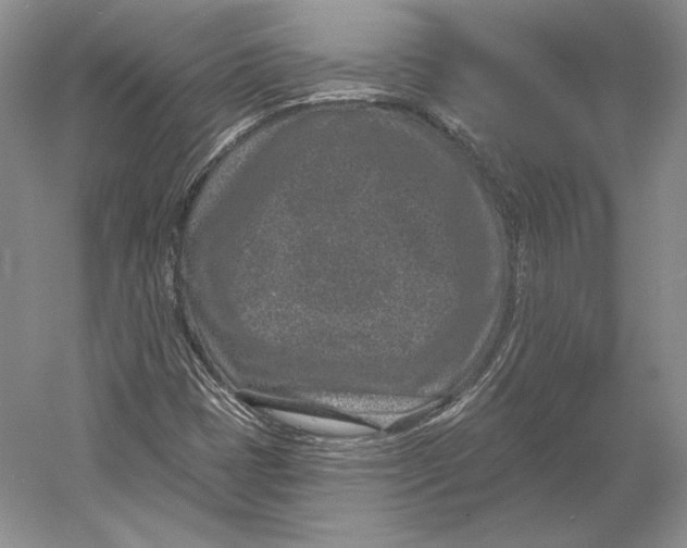 X0000052981401200508051029