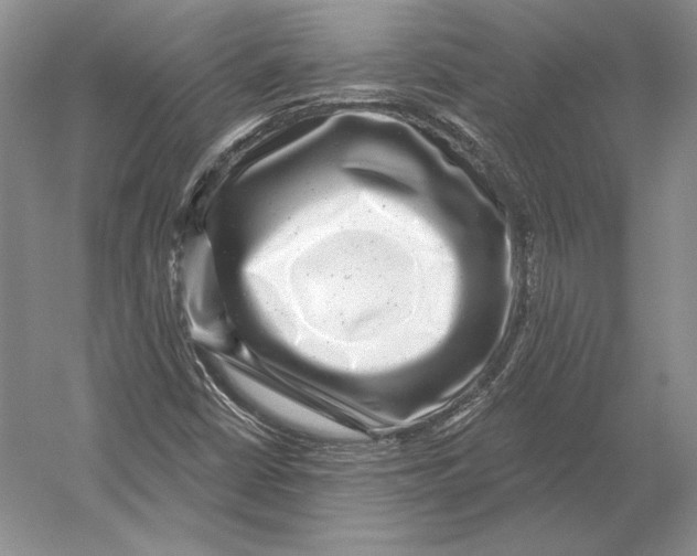 X0000052981402200508051029