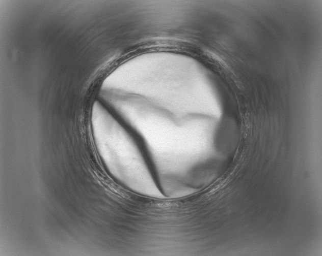 X0000052981403200508051029