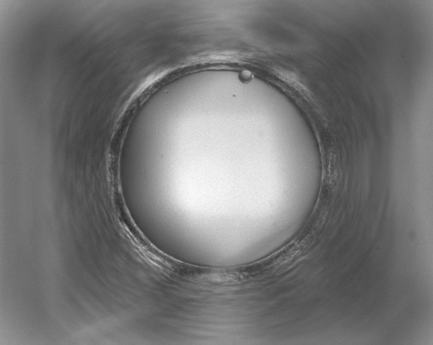 X0000052981404200508051029