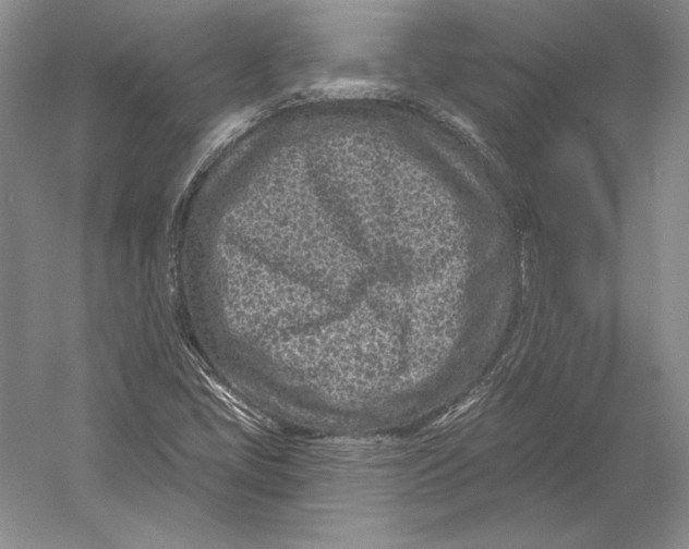 X0000052981405200508051029