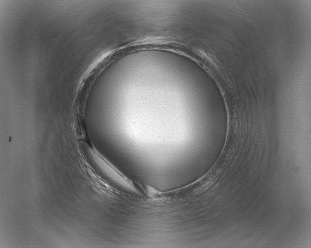 X0000052981406200508051029