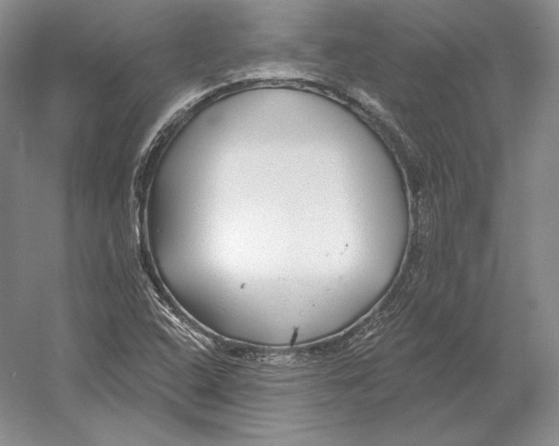 X0000052981408200508051029