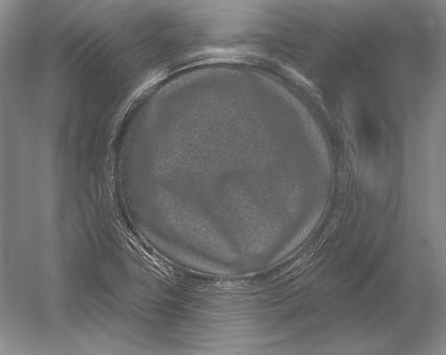 X0000052981411200508051029