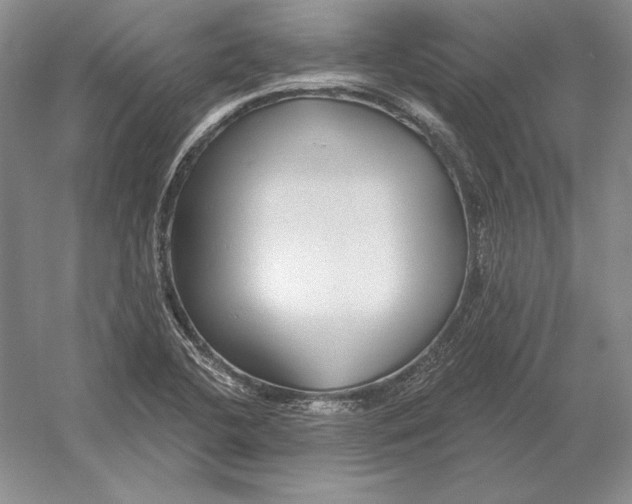 X0000052981412200508051029