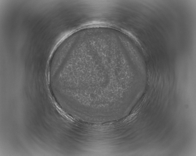 X0000052981413200508051029